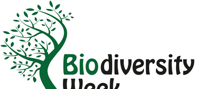 National Biodiversity Week in County Wicklow