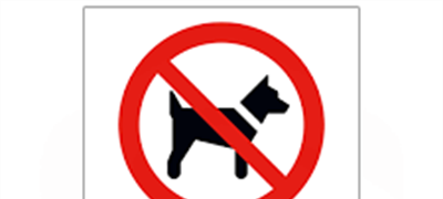 Dogs are not permitted on Blue Flag Beaches.