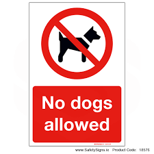 Dogs are not permitted on Blue Flag Beaches.