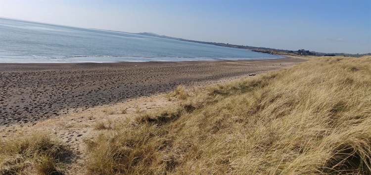 Environmental News - Debris Clean Up -  South Wicklow Coastline
