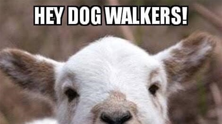 Warning to Dog Owners - Lambing Season