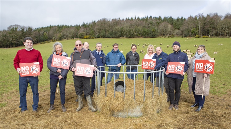 Lambing Season Awareness Campaign