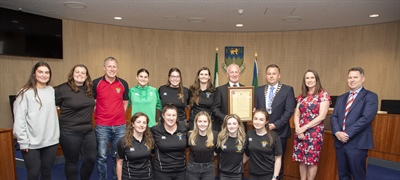 Twelve sporting groups and individuals honoured at a Civic Reception hosted by Wicklow...