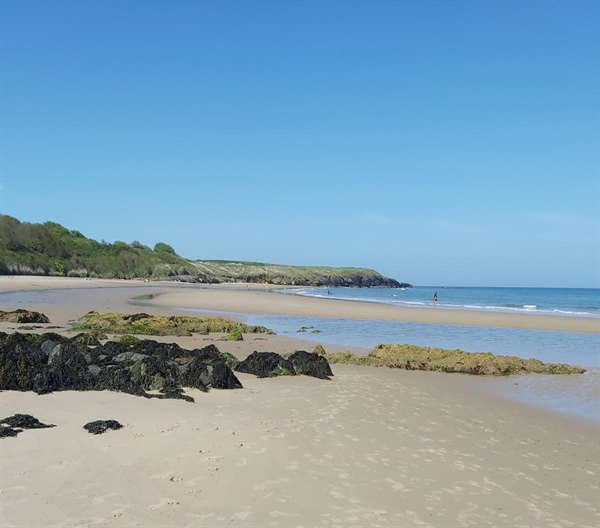 Wicklow County Council Purchases 21-Acre Site Overlooking Magheramore Beach