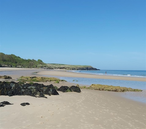 Wicklow County Council Purchases 21-Acre Site Overlooking Magheramore Beach