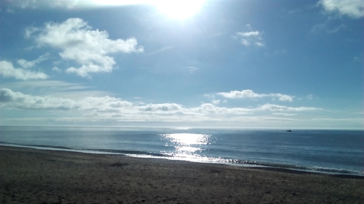Identified Bathing Water Results