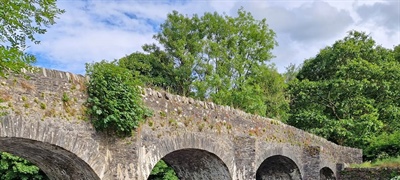 Spongeworks On The Aughrim River