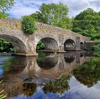 Spongeworks On The Aughrim River