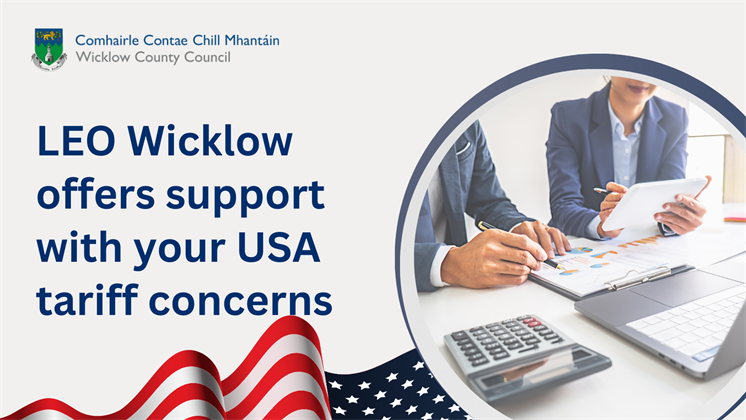 LEO Wicklow offers support with USA tariff concerns