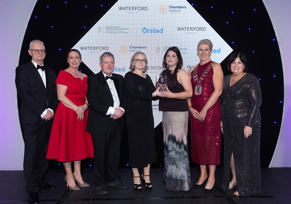 Wickow County Council Wins at the Chambers Ireland Excellence in Local Government Awards