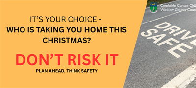 It's Your Choice - Who is Taking You Home This Christmas