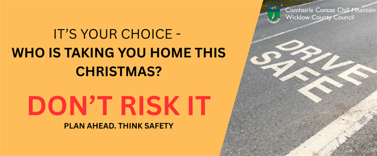 It's Your Choice - Who is Taking You Home This Christmas