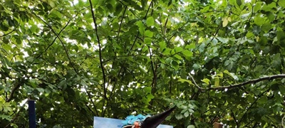 Three Creative Ireland Grant Schemes Announced for Wicklow