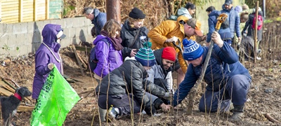 Community Comes Together to Plant 3,000 Native Trees at Bray Head