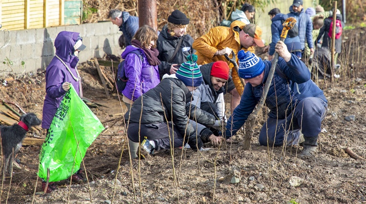 Community Comes Together to Plant 3,000 Native Trees at Bray Head