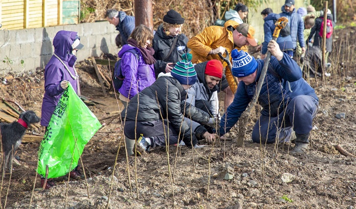 Community Comes Together to Plant 3,000 Native Trees at Bray Head