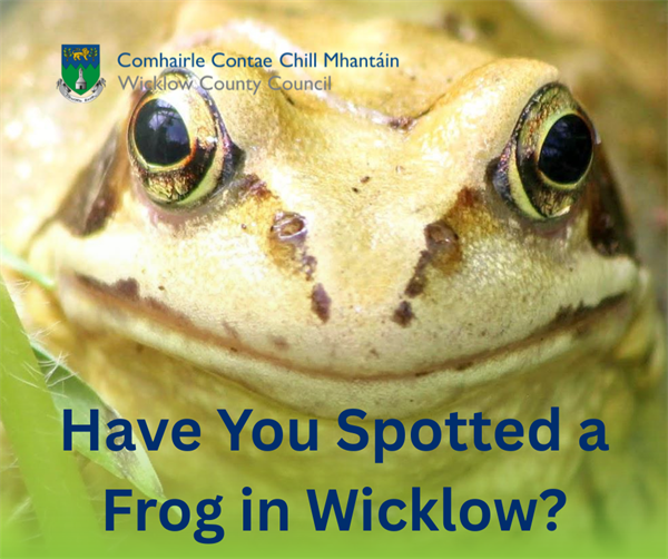 Public invited to take part in Ireland’s longest running frog survey