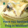 Have you spotted a frog in Wicklow.