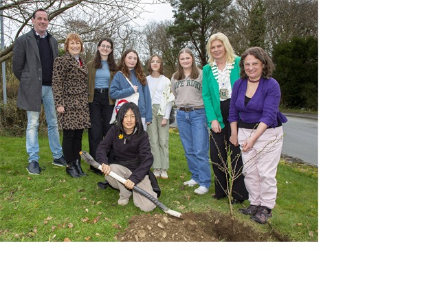 Tidy Towns, Estates & Schools Applauded at the Sustainable Development Awards Ceremony