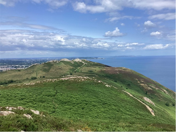 Wicklow to Celebrate National Biodiversity Week 2026