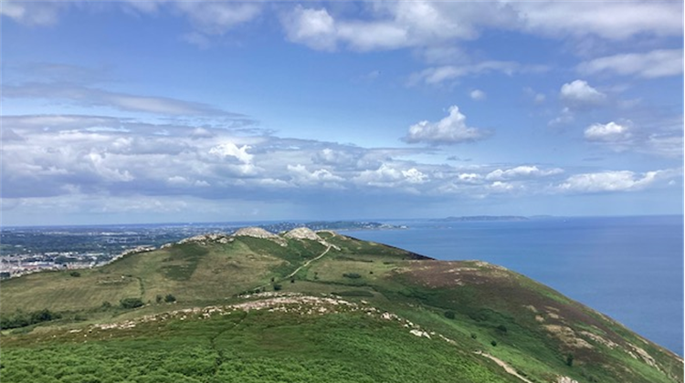 Wicklow to Celebrate National Biodiversity Week 2026