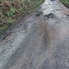 Image Two: 