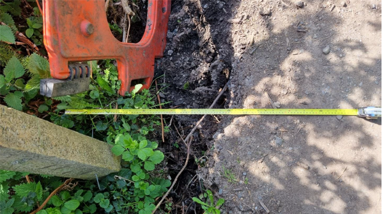 Bray to Greystones Cliff Walk Update