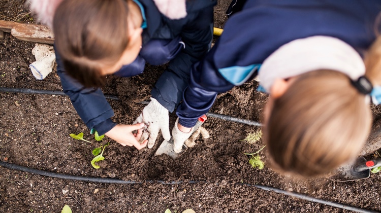 Wicklow County Council Now Accepting Applications for Community Based Environmental Fund