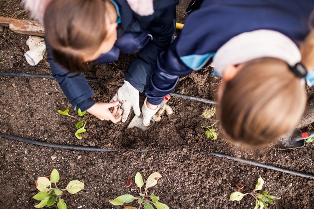 Wicklow County Council Now Accepting Applications for Community Based Environmental Fund