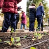 Climate Action initiatives in action.