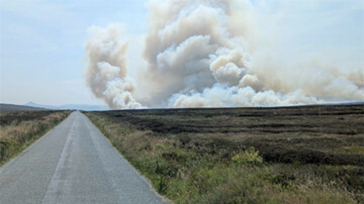 Gorse Fire Update
