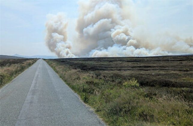 Gorse Fire Update