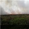 Gorse Fire