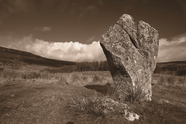 Launch of Baltinglass and Beyond — My Sense of Place at Baltinglass Library