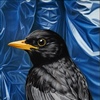 Jens Heller, Blackbird Two, Oil on Canvas