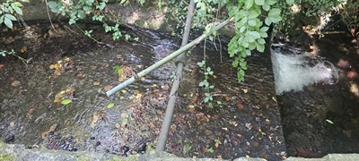 Three Trouts Project Opens Up River Habitat For Migrating Fish
