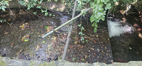 Three Trouts Project Opens Up River Habitat For Migrating Fish