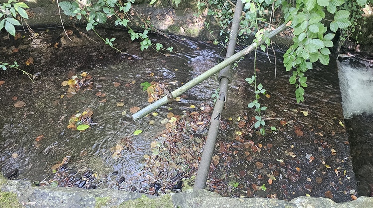 Three Trouts Project Opens Up River Habitat For Migrating Fish