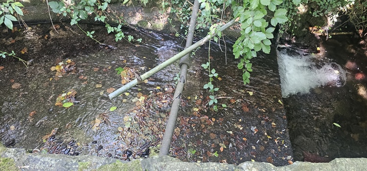 Three Trouts Project Opens Up River Habitat For Migrating Fish