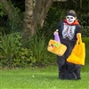 Samhain Wicklow Launch 2027 at Clermont House Three. 