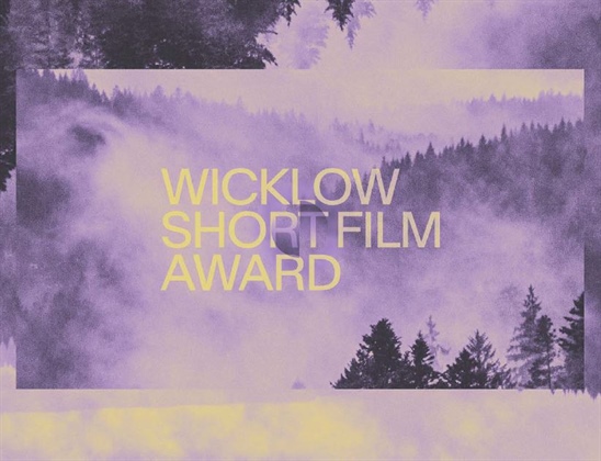 WICKLOW COUNTY COUNCIL ANNOUNCES OPEN CALL FOR THE WICKLOW SHORT FILM AWARD SCHEME IN 2027