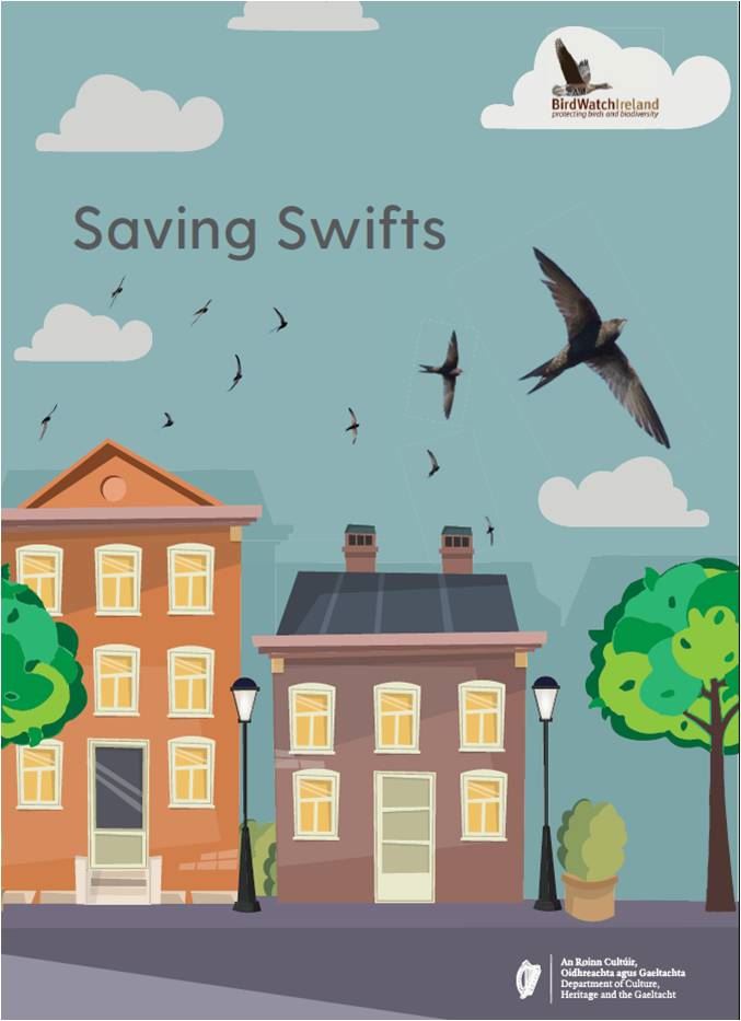 Saving Swifts Guide