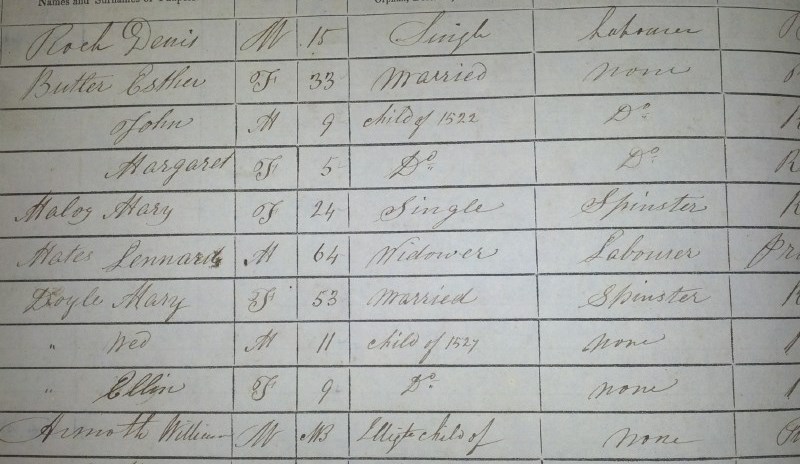 Rathdrum Workhouse Records 1842-1914
